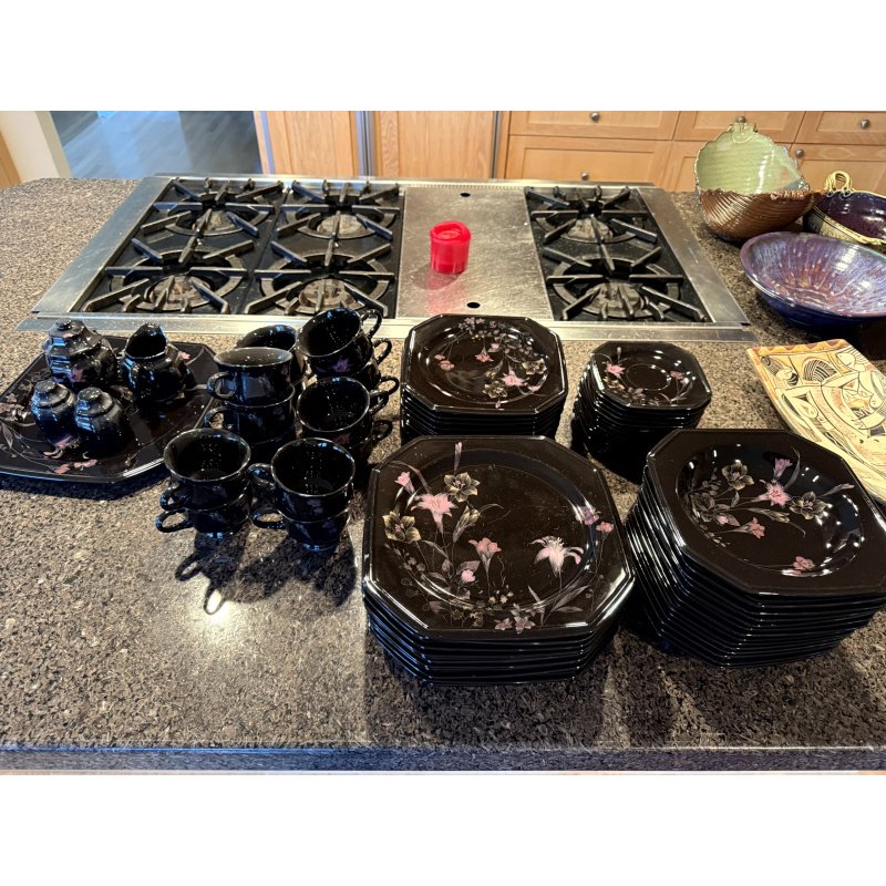 Mikasa Color Trend Ebony Meadow China Set Service for 12+