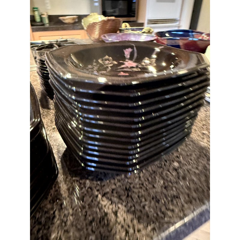 Mikasa Color Trend Ebony Meadow China Set Service for 12+