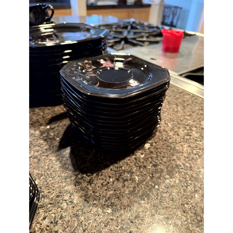 Mikasa Color Trend Ebony Meadow China Set Service for 12+