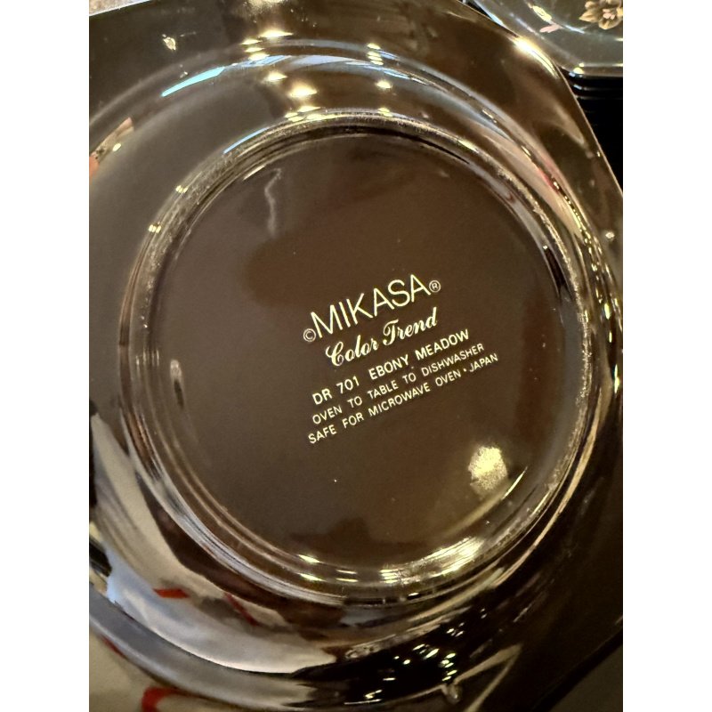 Mikasa Color Trend Ebony Meadow China Set Service for 12+