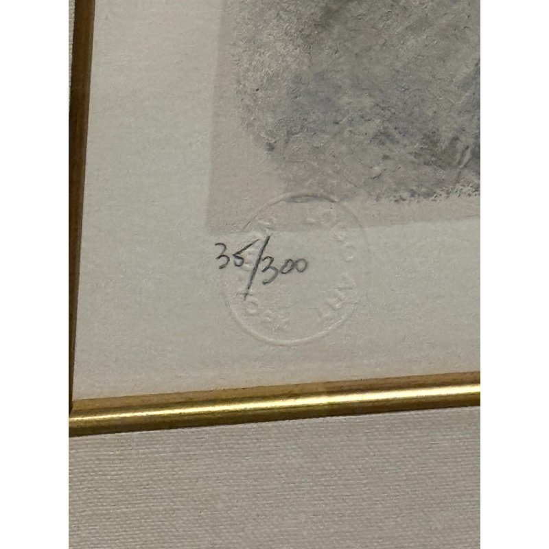 David Schluss Framed Art Print Symphony Signed Numbered