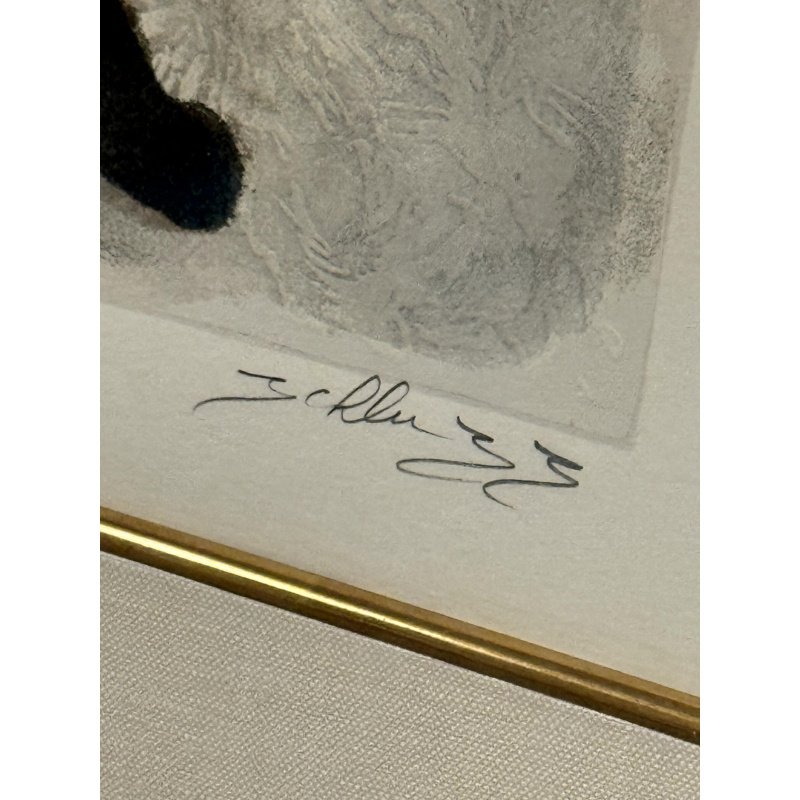 David Schluss Framed Art Print Symphony Signed Numbered