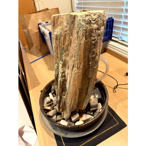 Petrified Wood Stump Fountain with Petrified Wood Pieces