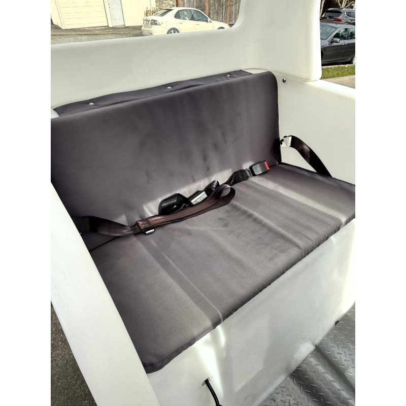 Electric Rickshaw Pedicab Velo Taxi, 1000W Motor, 3 Wheels, City Cruiser Passenger Taxi